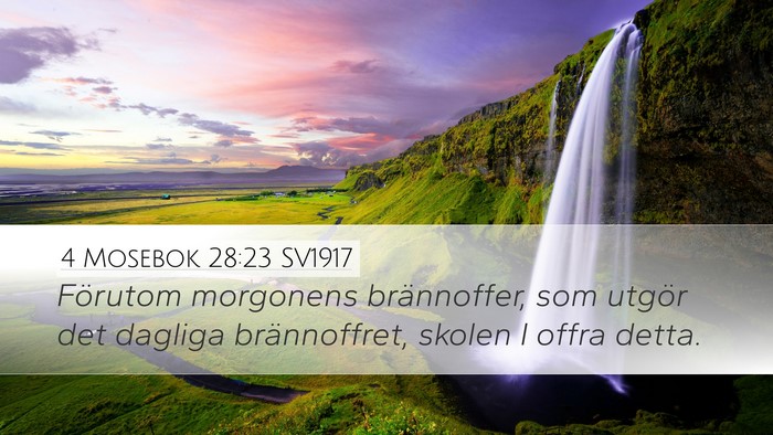 4 Mosebok 28:23 SV1917 Bible Verse Image