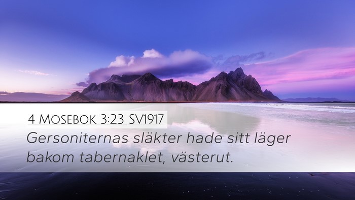 4 Mosebok 3:23 SV1917 Bible Verse Image