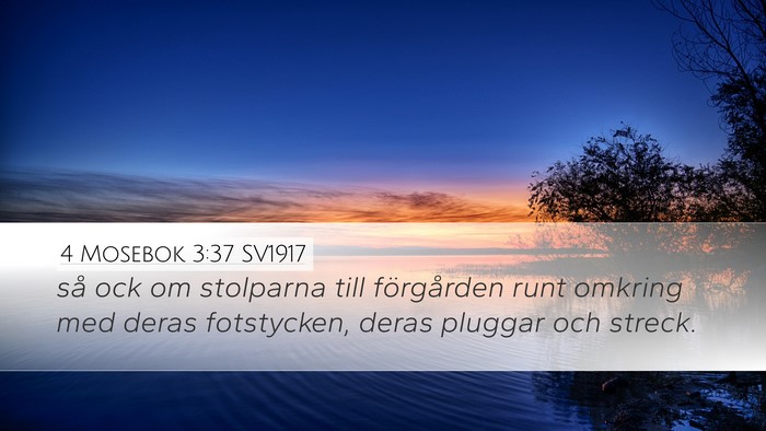 4 Mosebok 3:37 SV1917 Desktop Wallpaper - så ock om stolparna till förgården runt - Desktop Bible Verse Wallpaper