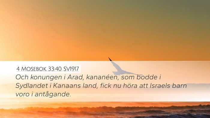 4 Mosebok 33:40 SV1917 Desktop Wallpaper - Och konungen i Arad, kananéen, som bodde i - Desktop Bible Verse Wallpaper
