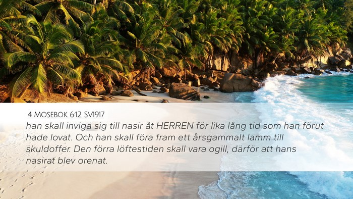 4 Mosebok 6:12 SV1917 Bible Verse Image