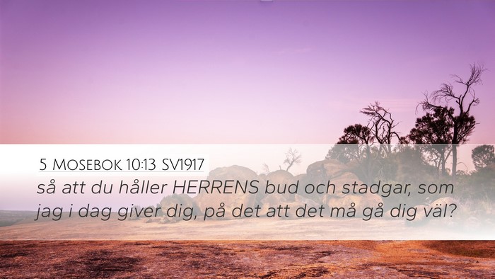 5 Mosebok 10:13 SV1917 Desktop Wallpaper - så att du håller HERRENS bud och stadgar, som - Desktop Bible Verse Wallpaper