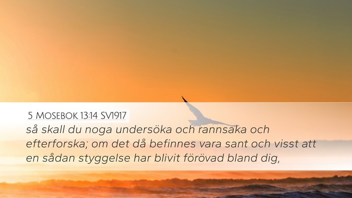 5 Mosebok 13:14 SV1917 Desktop Wallpaper - så skall du noga undersöka och rannsaka och - Desktop Bible Verse Wallpaper