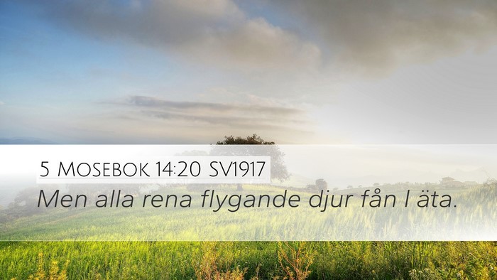 5 Mosebok 14:20 SV1917 Desktop Wallpaper - Men alla rena flygande djur fån I - Desktop Bible Verse Wallpaper