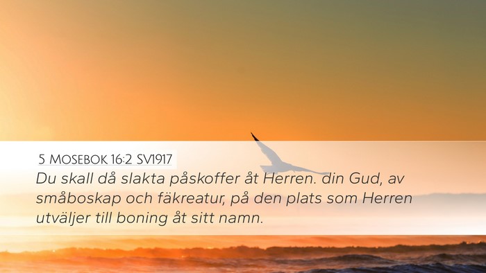 5 Mosebok 16:2 SV1917 Desktop Wallpaper - Du skall då slakta påskoffer åt Herren. din - Desktop Bible Verse Wallpaper