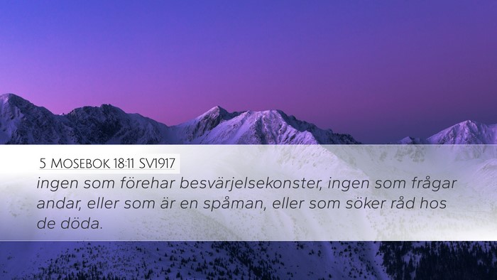 5 Mosebok 18:11 SV1917 Bible Verse Image