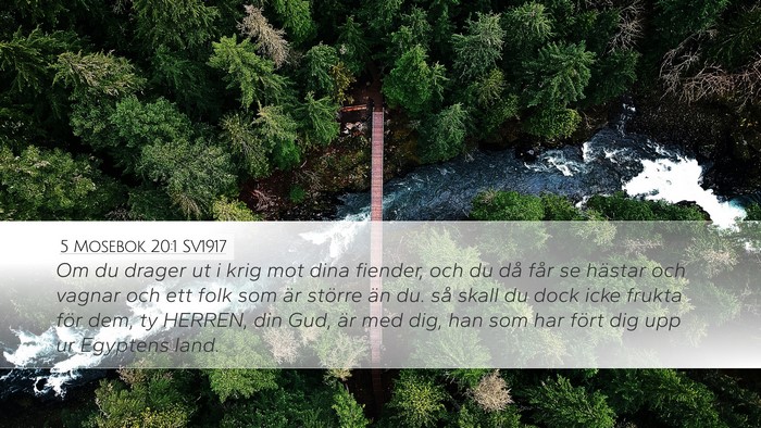 5 Mosebok 20:1 SV1917 Bible Verse Image