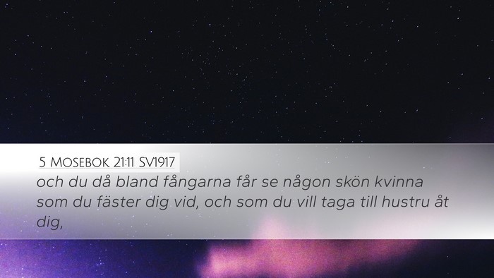 5 Mosebok 21:11 SV1917 Desktop Wallpaper - och du då bland fångarna får se någon skön - Desktop Bible Verse Wallpaper