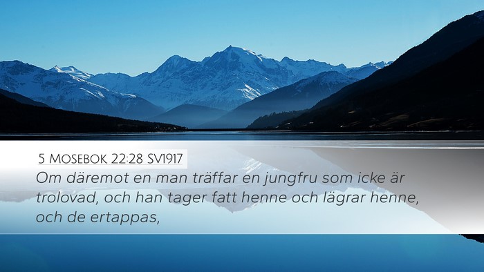 5 Mosebok 22:28 SV1917 Desktop Wallpaper - Om däremot en man träffar en jungfru som icke - Desktop Bible Verse Wallpaper