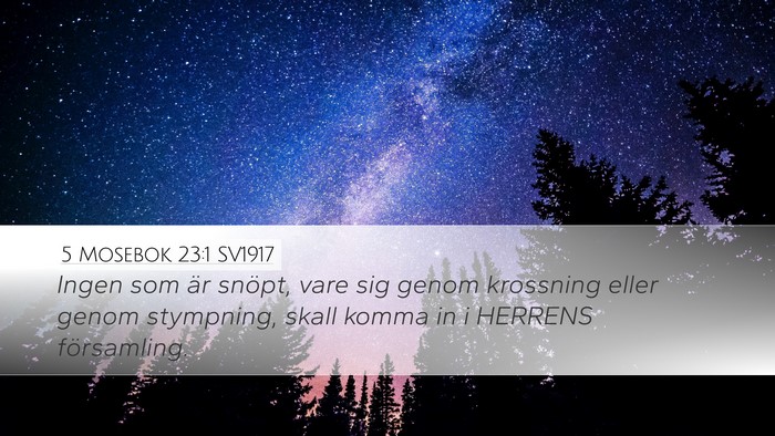 5 Mosebok 23:1 SV1917 Bible Verse Image