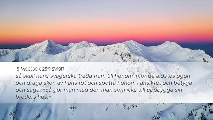5 Mosebok 25:9 SV1917 Bible Verse Image