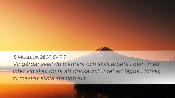 5 Mosebok 28:39 SV1917 Bible Verse Image