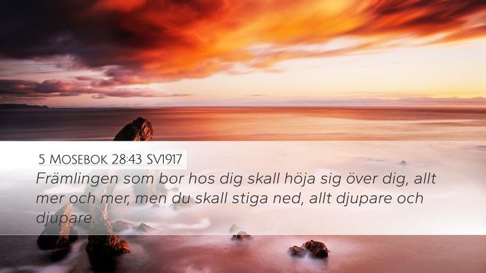 5 Mosebok 28:43 SV1917 Bible Verse Image