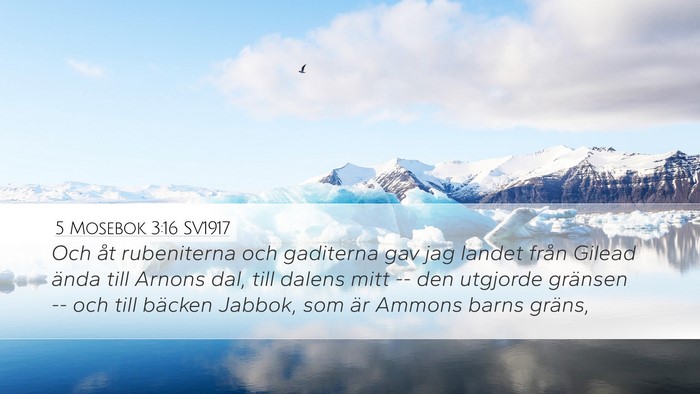 5 Mosebok 3:16 SV1917 Bible Verse Image