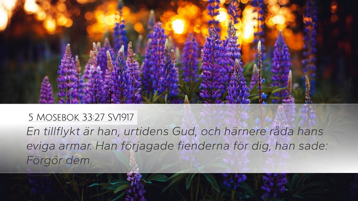 5 Mosebok 33:27 SV1917 Bible Verse Image