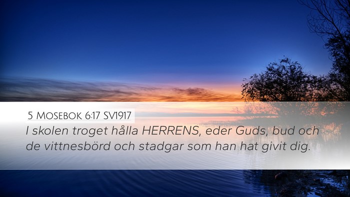 5 Mosebok 6:17 SV1917 Bible Verse Image