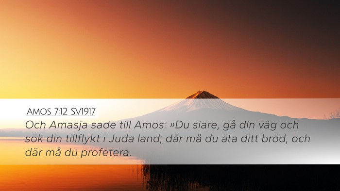 Amos 7:12 SV1917 Bible Verse Image