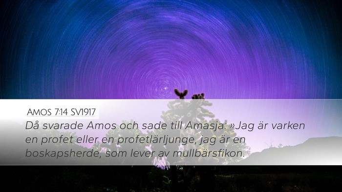 Amos 7:14 SV1917 Bible Verse Image