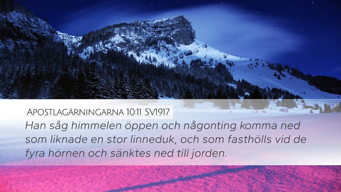 Apostlagärningarna 10:11 SV1917 Bible Verse Image