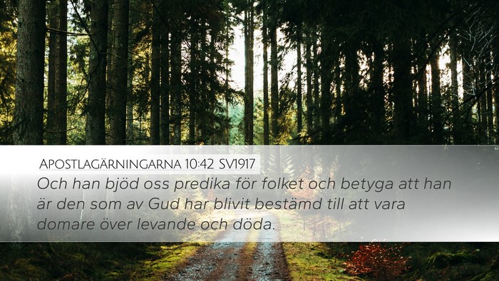 Apostlagärningarna 10:42 SV1917 Bible Verse Image