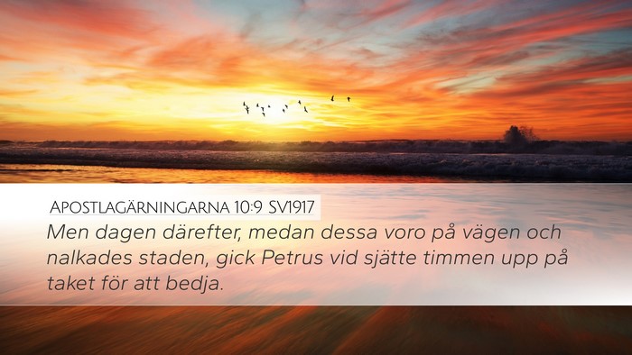 Apostlagärningarna 10:9 SV1917 Bible Verse Image