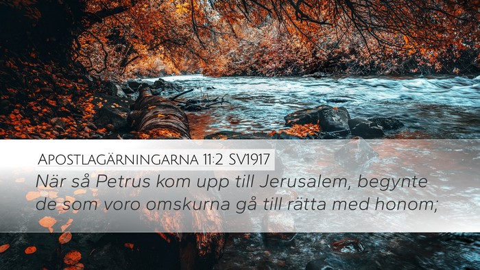 Apostlagärningarna 11:2 SV1917 Bible Verse Image