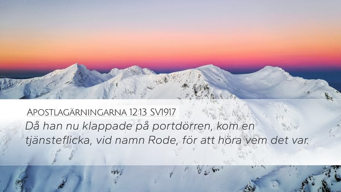 Apostlagärningarna 12:13 SV1917 Bible Verse Image