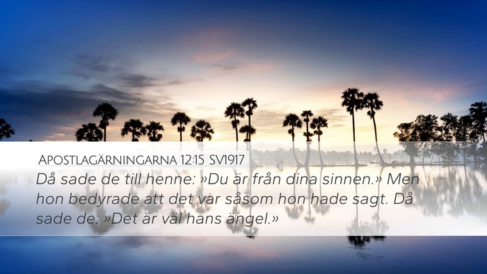 Apostlagärningarna 12:15 SV1917 Bible Verse Image