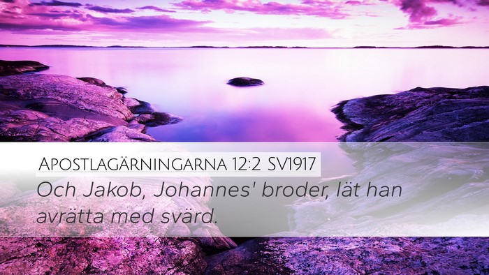 Apostlagärningarna 12:2 SV1917 Bible Verse Image
