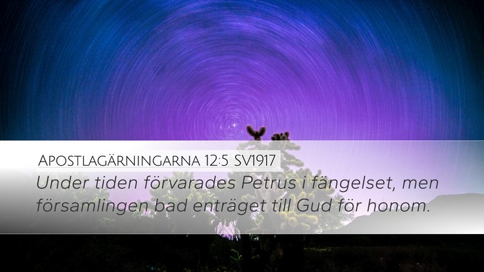 Apostlagärningarna 12:5 SV1917 Bible Verse Image