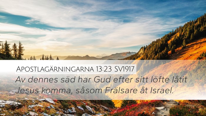 Apostlagärningarna 13:23 SV1917 Bible Verse Image