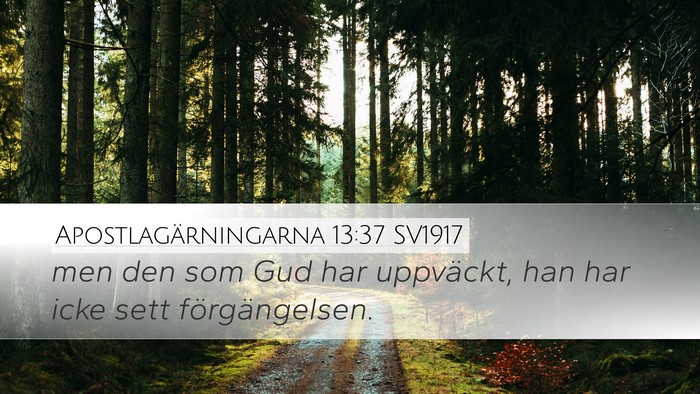 Apostlagärningarna 13:37 SV1917 Bible Verse Image