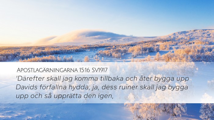 Apostlagärningarna 15:16 SV1917 Bible Verse Image