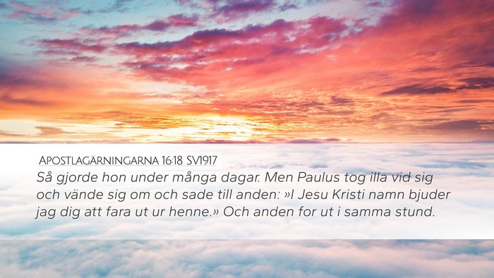 Apostlagärningarna 16:18 SV1917 Bible Verse Image
