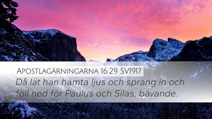 Apostlagärningarna 16:29 SV1917 Bible Verse Image