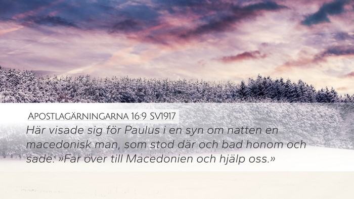 Apostlagärningarna 16:9 SV1917 Bible Verse Image