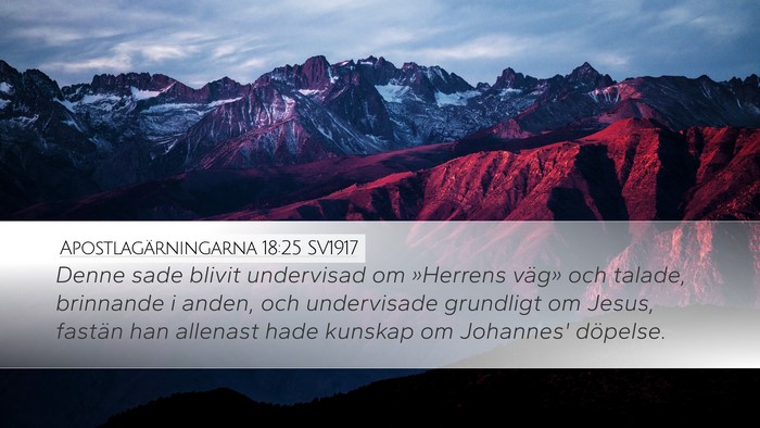 Apostlagärningarna 18:25 SV1917 Bible Verse Image