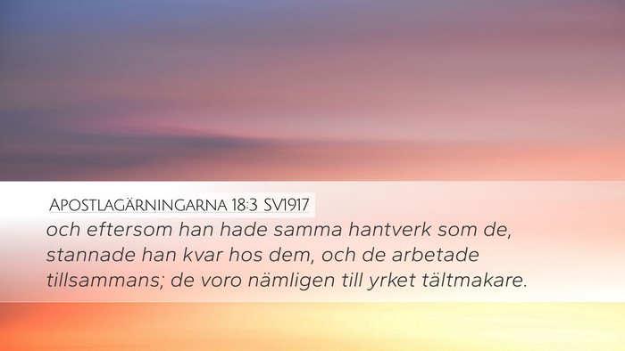 Apostlagärningarna 18:3 SV1917 Bible Verse Image