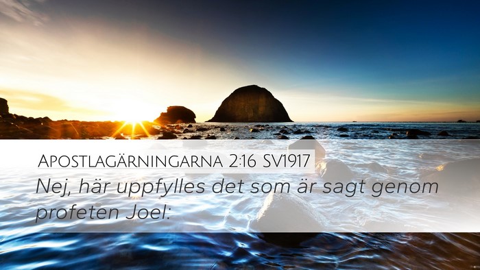 Apostlagärningarna 2:16 SV1917 Bible Verse Image