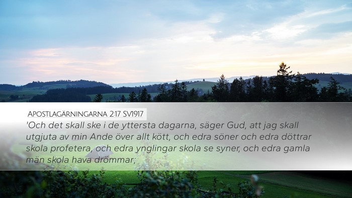 Apostlagärningarna 2:17 SV1917 Bible Verse Image