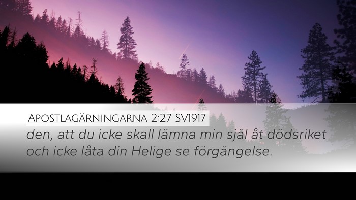 Apostlagärningarna 2:27 SV1917 Bible Verse Image