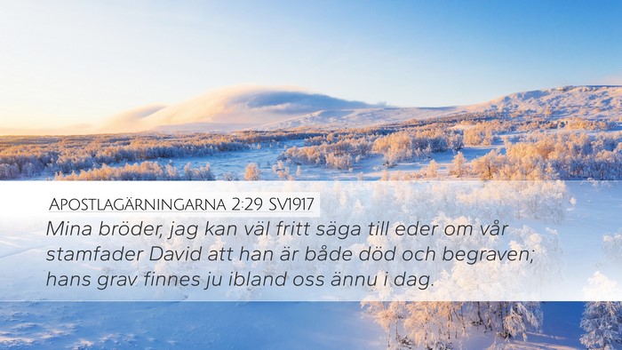 Apostlagärningarna 2:29 SV1917 Bible Verse Image