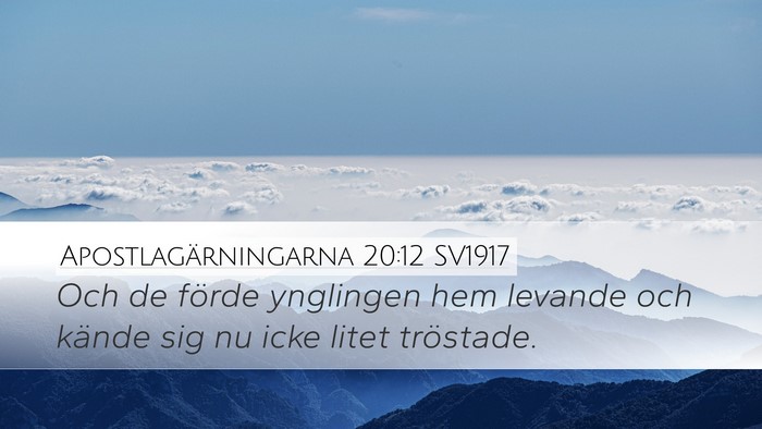Apostlagärningarna 20:12 SV1917 Bible Verse Image