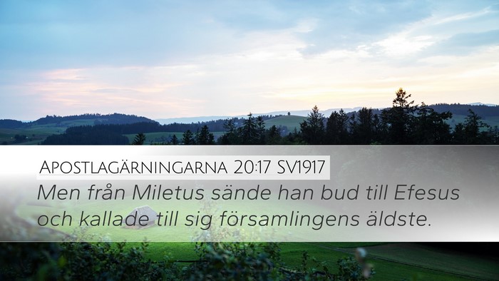 Apostlagärningarna 20:17 SV1917 Bible Verse Image