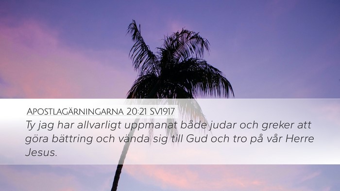 Apostlagärningarna 20:21 SV1917 Bible Verse Image