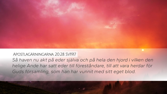 Apostlagärningarna 20:28 SV1917 Bible Verse Image