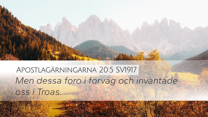 Apostlagärningarna 20:5 SV1917 Bible Verse Image