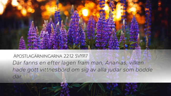 Apostlagärningarna 22:12 SV1917 Bible Verse Image