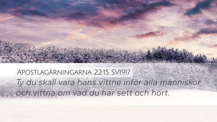 Apostlagärningarna 22:15 SV1917 Bible Verse Image