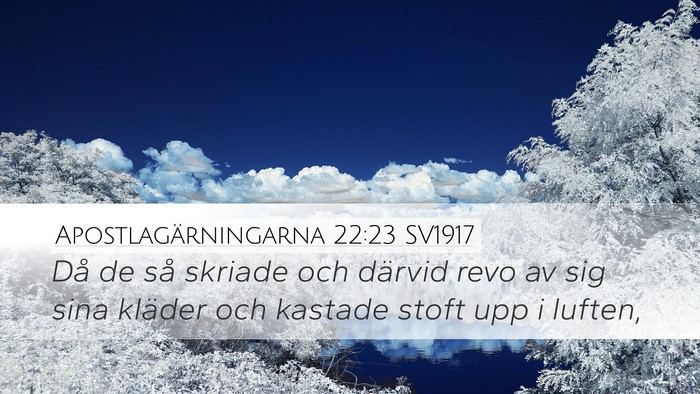 Apostlagärningarna 22:23 SV1917 Bible Verse Image